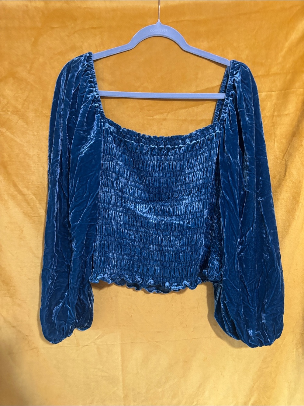 Anthropologie Teal Velvet Smocked Square-Neck Crop Top XL - Picture 6 of 6